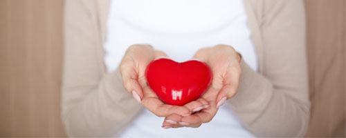 Strategic Initiatives_Heart in Hand_500x200.jpg