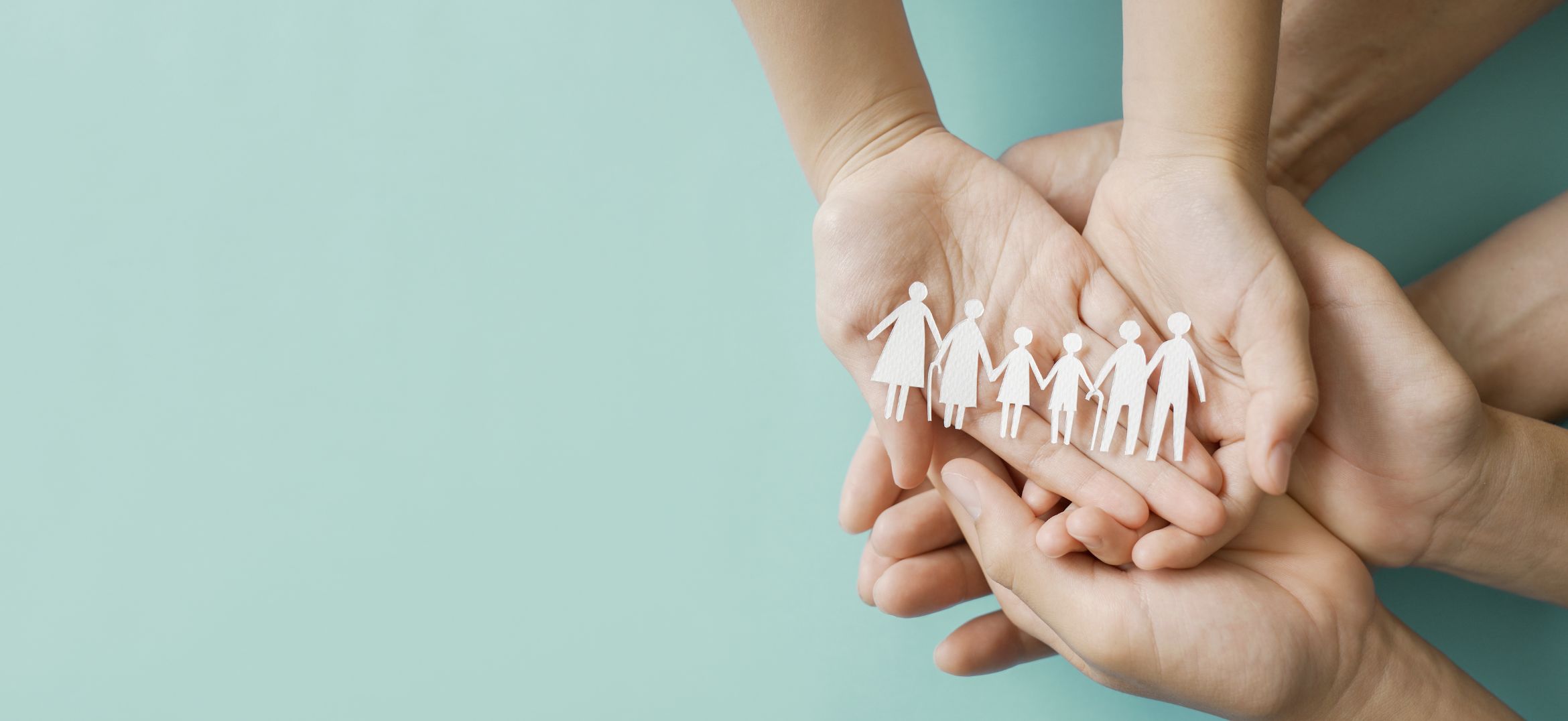 Partnership Member Stories